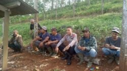 Polsek Lakbok Giat PMPKB di lahan Perkebunan Nusantara PTPN VIII Batulawang Desa Kutawaringin