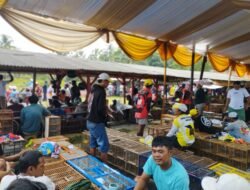 Liga Nasional Putaran 3 PMTI Digelar di Ciamis, Berhadiah Ratusan Juta Rupiah