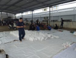 STIKes Muhammadiyah Ciamis Gelar Qurban, 2 Kambing 5 Sapi