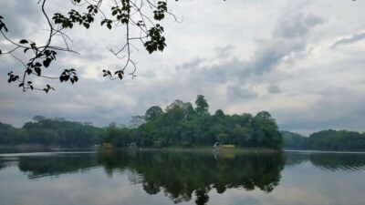 Situ Gede Tasikmalaya: Pesona Alam dan Sejarahnya