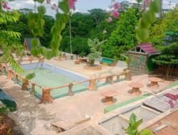 Yuk, Liburan Seru di Wisata Edukasi Saung Sule Ciamis: Nikmati Kolam Renang dan Mini Zoo!