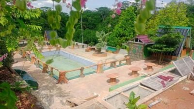 Yuk, Liburan Seru di Wisata Edukasi Saung Sule Ciamis: Nikmati Kolam Renang dan Mini Zoo!