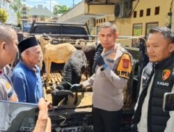 Komplotan Pencuri Domba Beraksi di Ciamis, Satu Pelaku Ditangkap, Dua Masih Buron