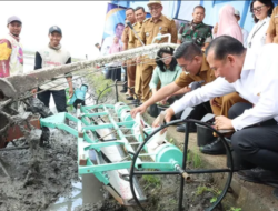 Lompatan Hebat! Banten Tembus 8 Besar Nasional Produksi Beras, Teknologi Modern Jadi Motor Utama