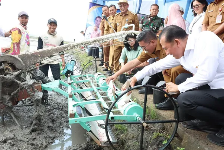 Provinsi Banten Tembus Delapan Besar Lumbung Beras Nasional, Andra Soni Soroti Ketahanan Pangan
