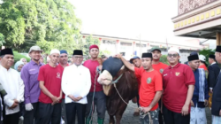Prabowo Salurkan Sapi Kurban 1,2 Ton di Tangerang, Andra Soni Minta Utamakan Kaum Duafa