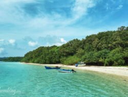 Spektakuler! Ujung Kulon Tawarkan Surga Wisata Dunia, Banten Ajak Wisatawan Jelajahi Keindahan Alamnya