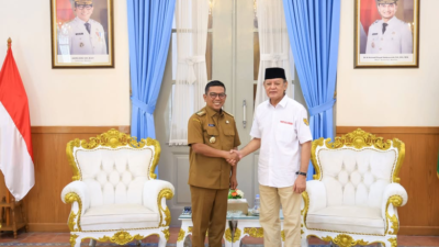 Andra Soni Dorong Banten Jadi Lumbung Pangan Nasional, Padi PS-08 Siap Panen hingga 10 Ton per Hektare