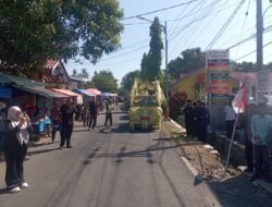 Lepas Karnaval Sedekah Bumi HUT ke-48 Desa Waringinsari, Wakil Wali Kota Banjar Dorong Ketahanan Pangan dan Pelestarian Budaya
